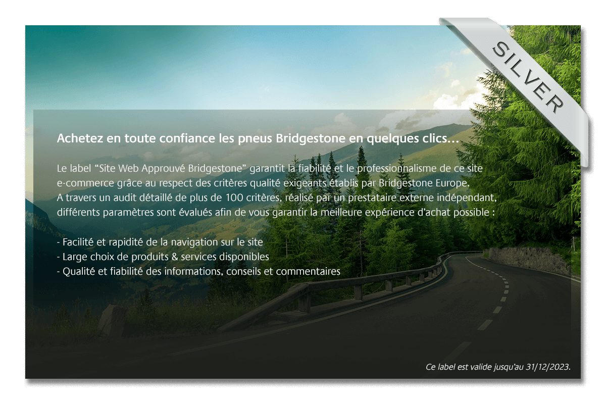 Bridgestone argent